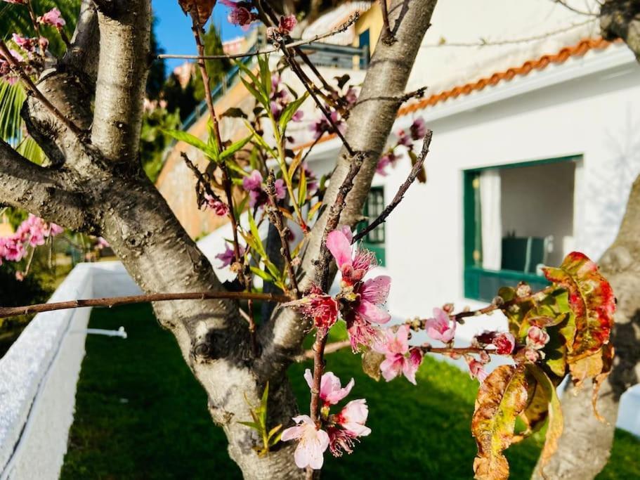 绍萨尔Vivienda Vacacional Con Vistas.公寓 外观 照片